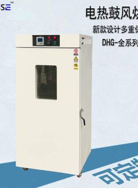 电热鼓风烘箱DHG-9420系列热风干燥箱自动控温循环恒温烘干箱