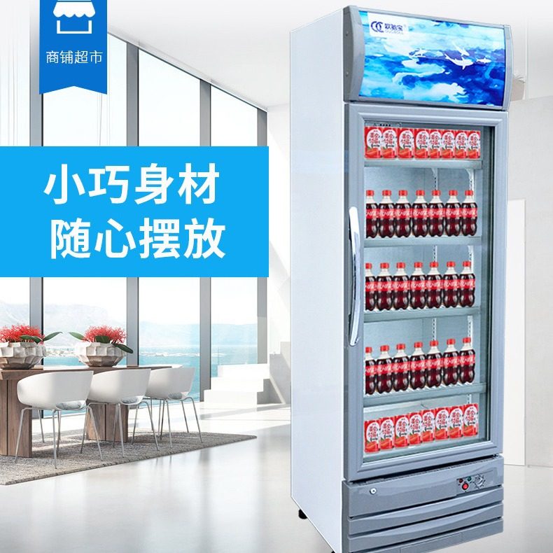 立式单门双门三门展示柜饮料陈列柜水果保鲜柜啤酒冷藏柜,生活电器,其它日用家电,淘宝优惠券,粉丝福利购,淘宝优惠卷