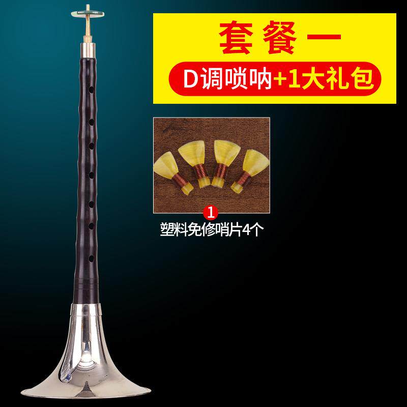 高档玄鹤黑檀木呐乐器全学套初者呐入门d调演奏专业锁唢红白喜事