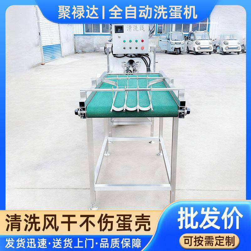 全自动商用蛋品包泥蛋清洗机不锈钢咸鸭蛋黄泥蛋全自动洗蛋机