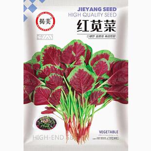 揭美红苋菜种子 阳台盆栽农田四季 蔬菜种子2000粒装 红圆叶苋菜籽