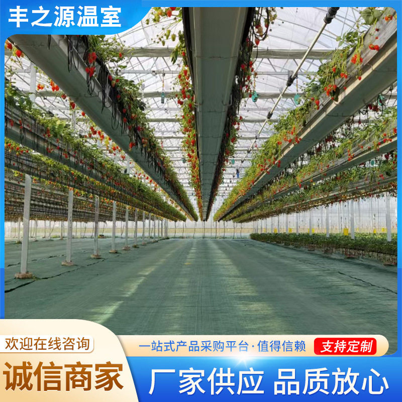 空中升降种植系统种植槽无土栽培花卉蔬菜种植大棚高架草莓种植槽