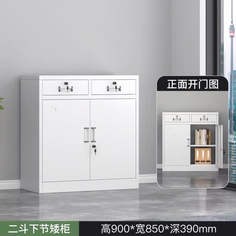 办公室储物柜钢制办公文件柜大器械文件柜档案柜财务凭证柜铁皮