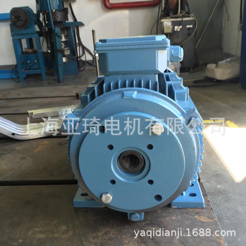 YE2-200L1-6-18.5KW高压清洗机电机内轴电机