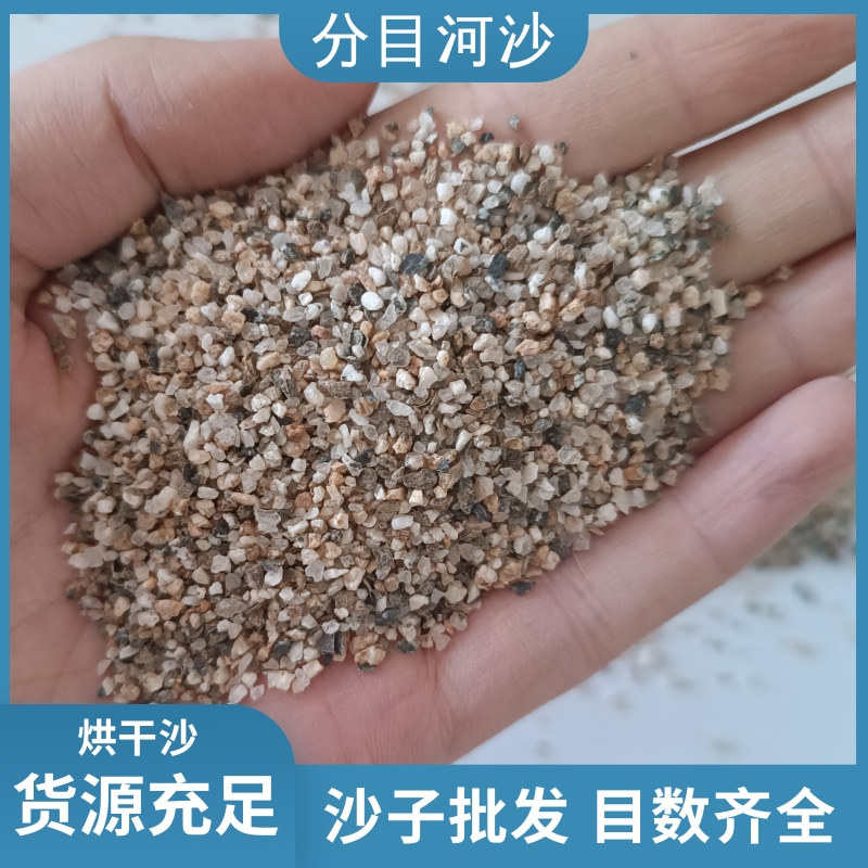 批发河砂 建筑砂浆烘干河砂 水洗河砂20-40目消防沙 分目河沙