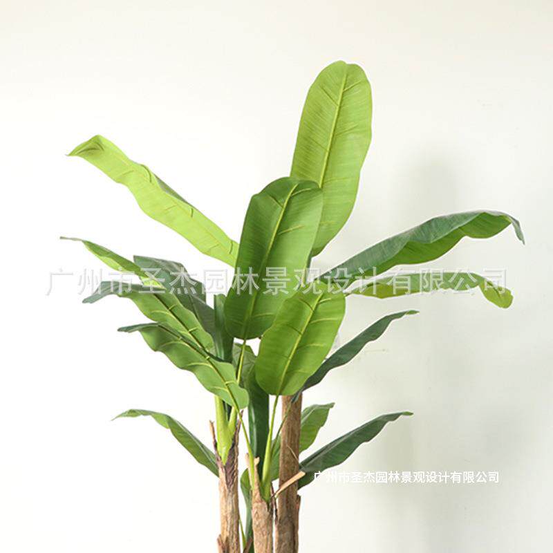 仿真绿植芭蕉树室内装饰庭院假树落地盆栽客厅摆件绿植造景摆件树