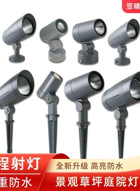 LED照树灯户外防水插地灯足功率民宿花园地插灯景观投光灯X20