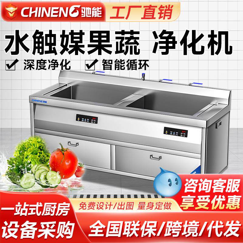 全动自动洗菜机杀菌果蔬多功能清洗机去农药水触媒净化机