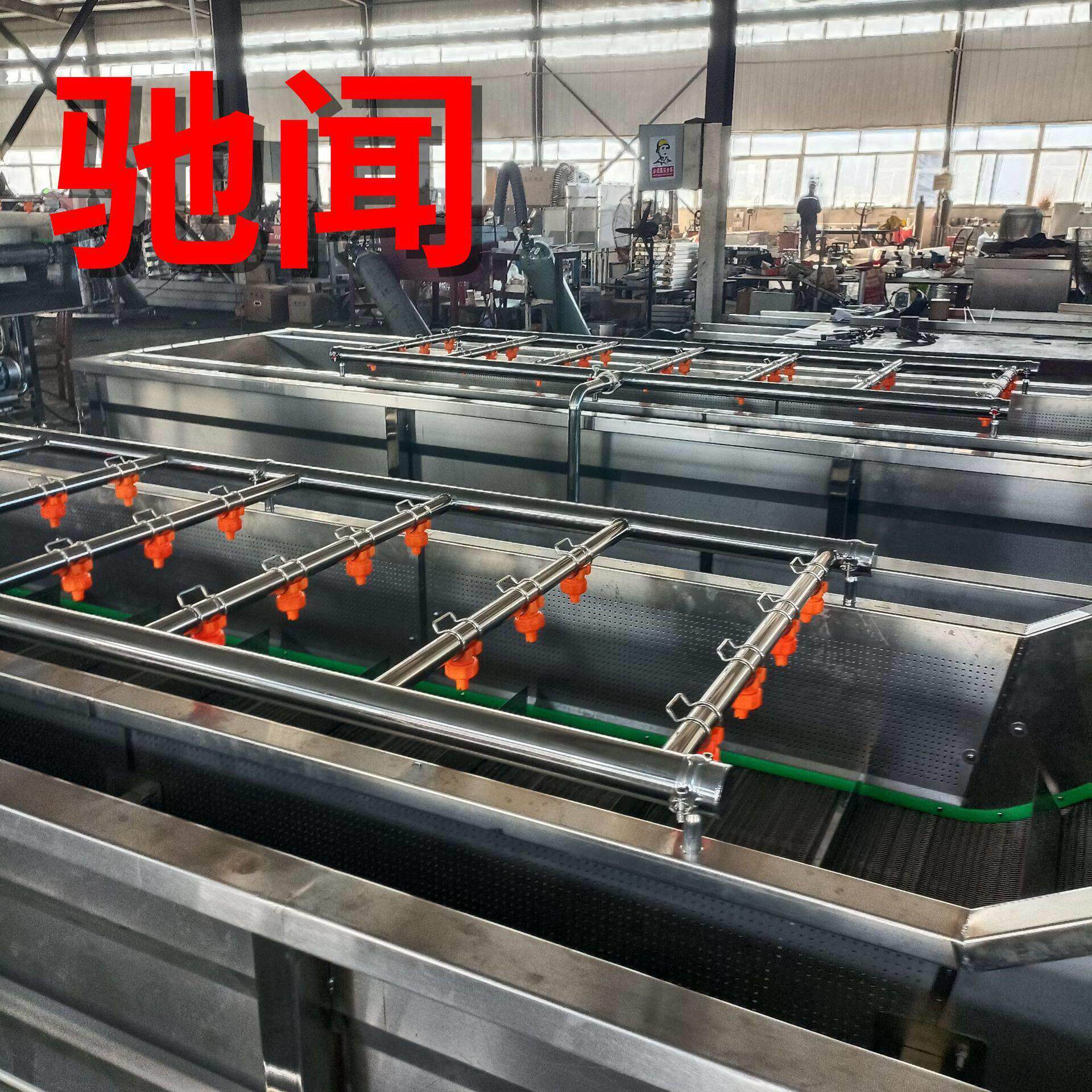 山野菜清洗加工设备 全自动净菜加工气泡清洗机 葡萄水果清洗池
