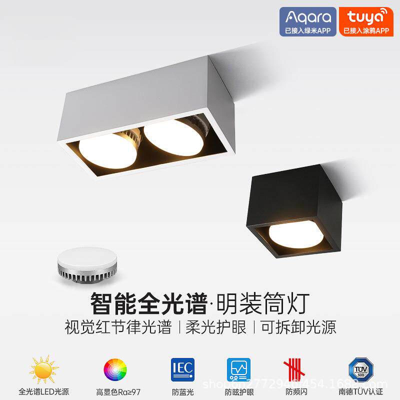 明装筒灯客厅过道玄关双头斗胆方形客厅无主灯智能盒子灯