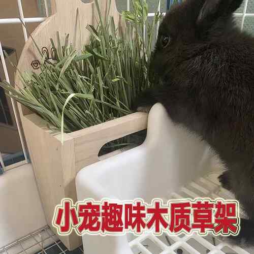 宠物趣味木质草架食盆食盒二合一草架兔兔豚鼠龙猫内置可固定草架