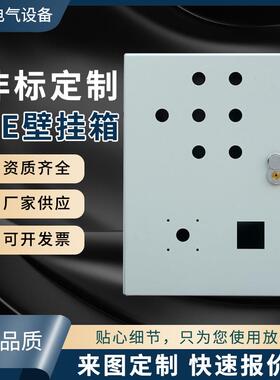 仿威图AE壁挂式机箱监控电源箱户外控制柜配电箱机柜外壳新能源