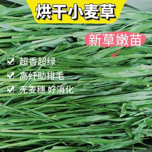 25年新收割新小麦草嫩苗草段干 干草烘干 干天然纤维兔子龙猫荷兰