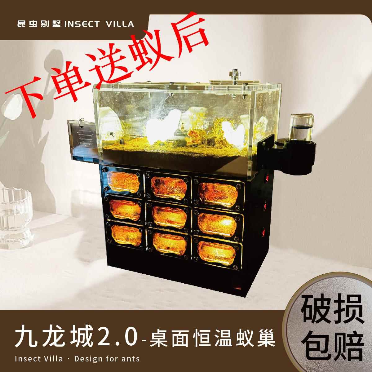 九龙城桌面恒温蚂蚁巢穴饲养盒天空之城大型观察
