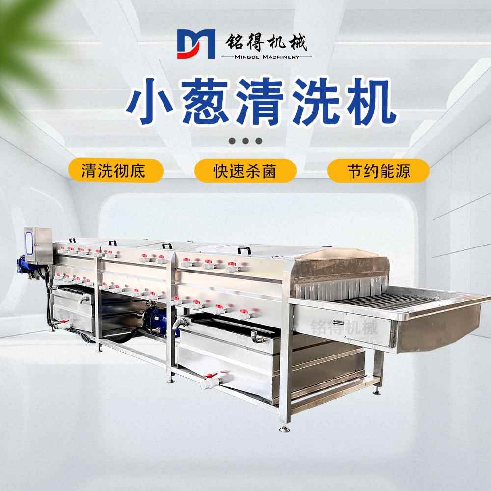 全自动香菜加工气泡清洗机果蔬加工清洗设备山药清洗机器