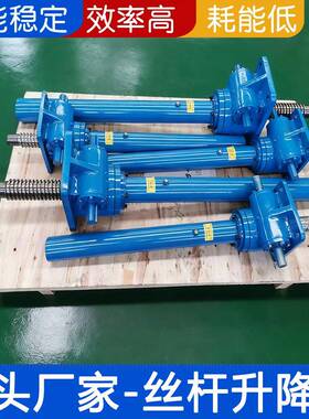 丝杆升降机 SWL10T蜗轮丝杆升降机 电动升降机中型升降器平台