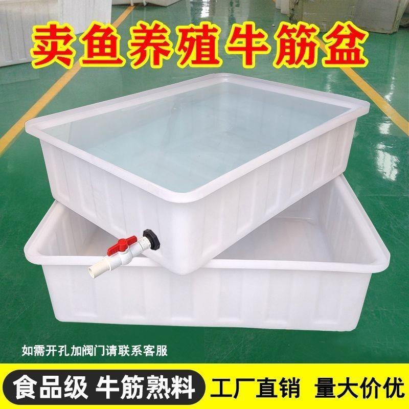 加厚水产养殖牛筋塑胶水箱长方养AL102044形浅盆卖鱼鱼养龟方桶料