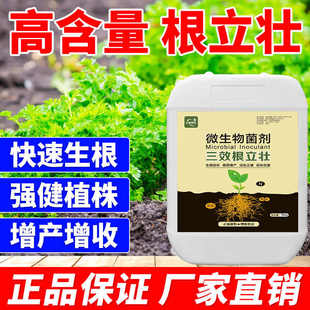 AIKEBO植物根系壮根剂生根液促长强根壮株叶面肥促生长增产冲施肥