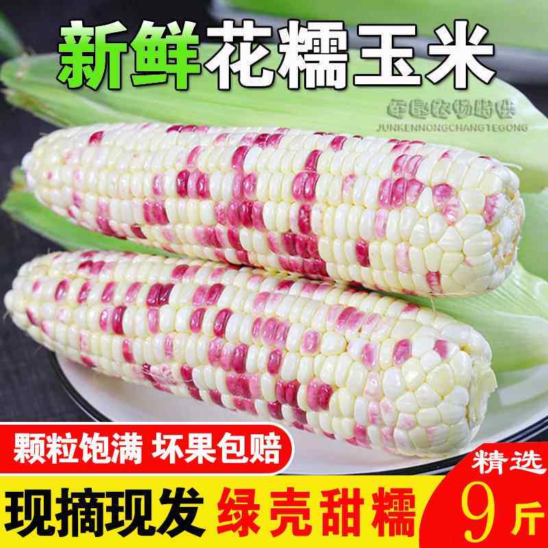 玉米新鲜糯玉米现摘带皮非转基因甜糯生的玉米棒粘黏花糯广西9斤
