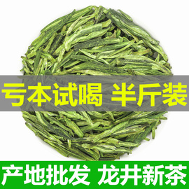 龙井茶叶2023新绿茶豆香型雨前春茶口粮散装龙井茶叶自己喝250g