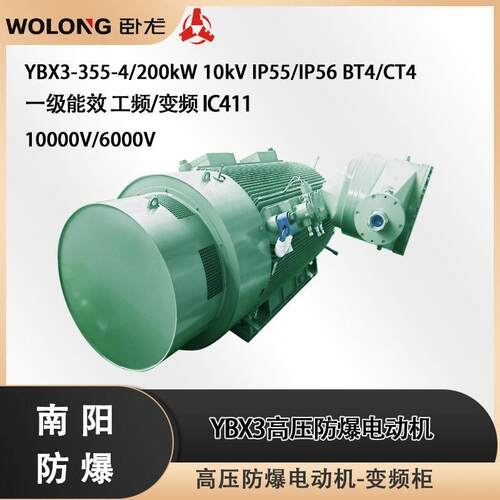 YB3/YBX3-355-4/200kW 10000V IP56 F/H级绝缘 BT4 IC411铜条转子