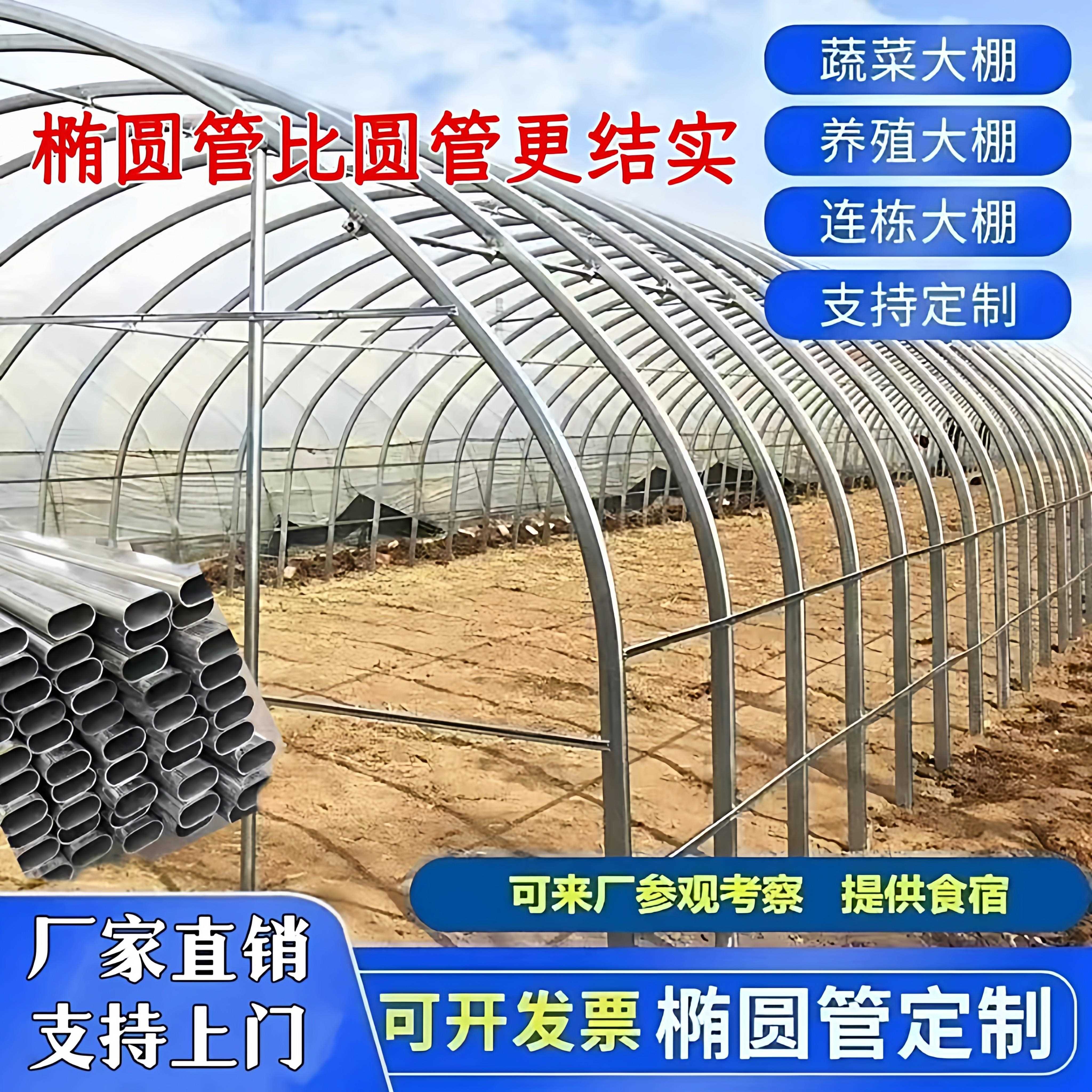 种植大棚支架全套骨架蔬菜育苗棚温室养殖大棚椭圆管钢架鸡棚猪棚