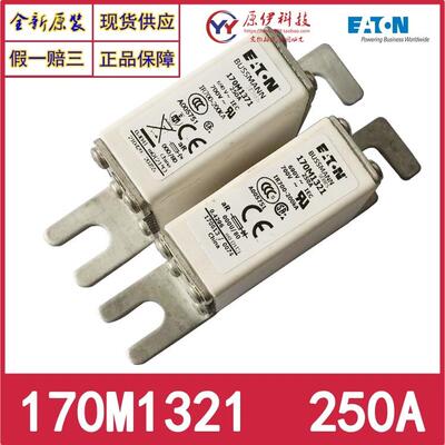 BUSSMANN保险丝 170M1321/1320/1319/1318/1317/170M1316 690V