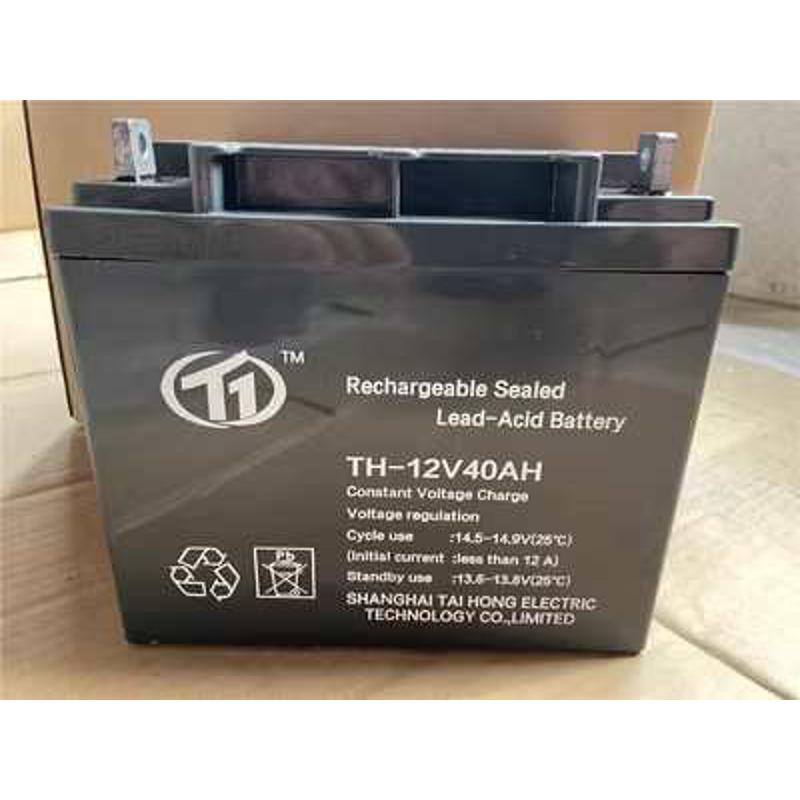 台洪蓄电池TH-12V24AH 直流屏 UPS电源主机 电梯消防 应急电源