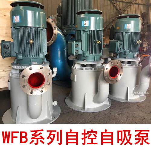 立式无密封自控自吸泵65WFB80WFB100WFB150WFB200WFB250WFB