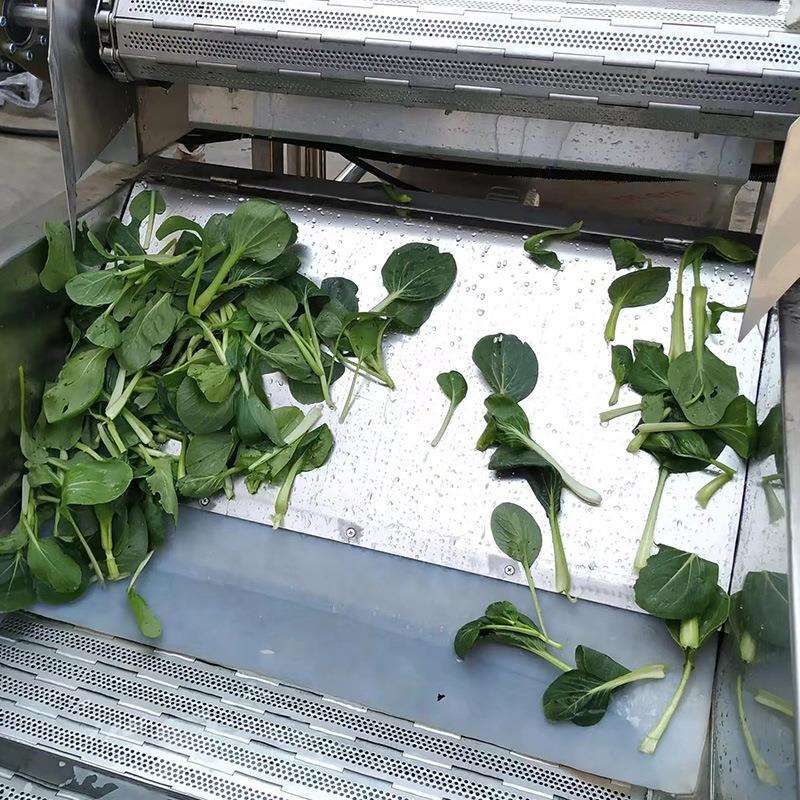 叶菜加工生产线 叶菜类洗菜机 新鲜果蔬菌类叶菜根茎清洗加工机器