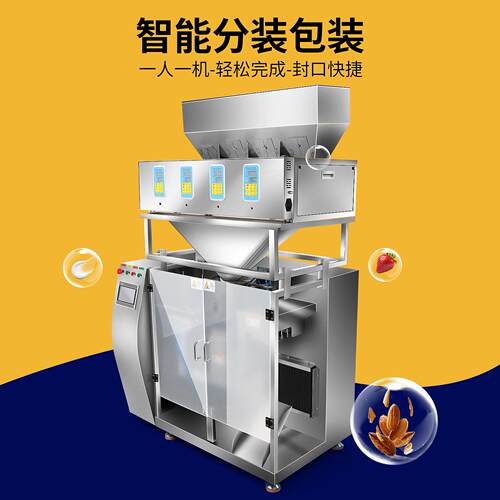 LT210水平给袋机全自动给袋式包装机调味粉颗粒粉封口包装一体机