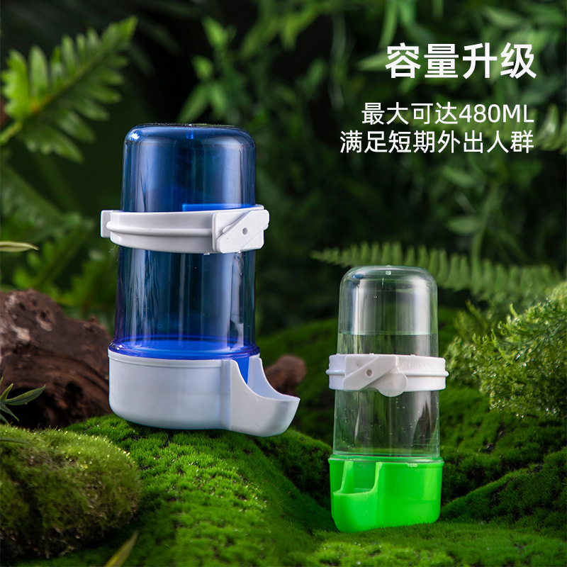 饮水器鸟类芦丁芦丁下水造景装饰