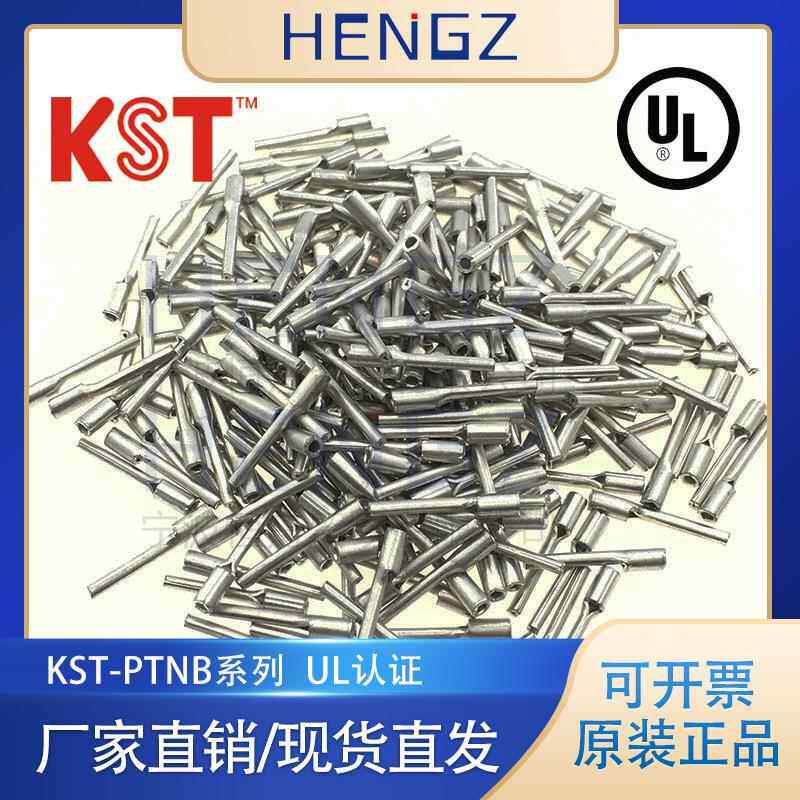 健和兴KST/PTNB1-10/1-9/PTN针型裸端子/PTNB针形46230裸端子接头