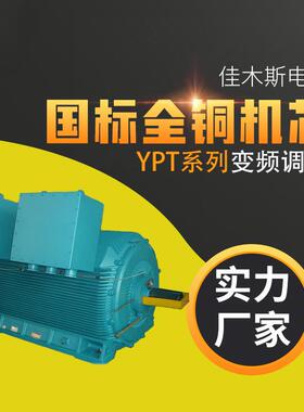电机YPT系列变频调速三相异步电动机H355～H560 3w4w