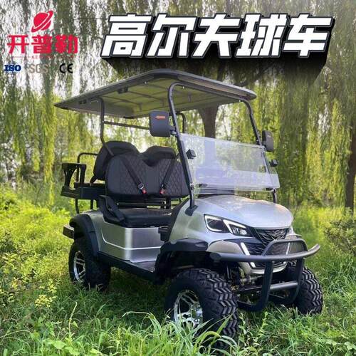 尔夫球车观光车楼盘接待车保安巡逻车220V/110V尔夫球车