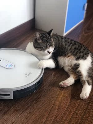 入手点评amarey星米扫地机器人好在哪里，千万不要买是真假？