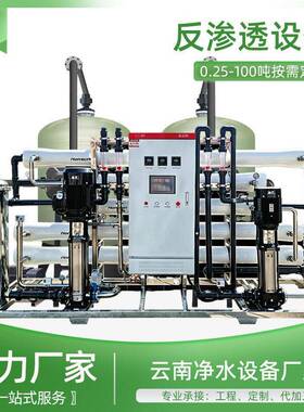 10吨酒厂RO反渗透设备大型小型商用井水地下水过滤直饮水纯水机