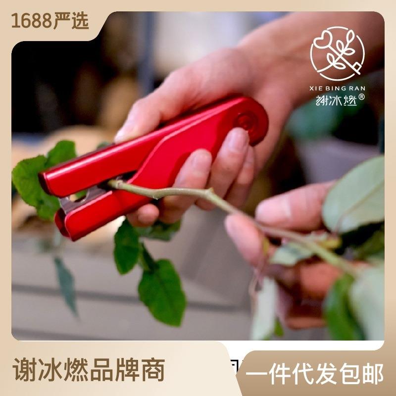 谢冰燃玫瑰花拔刺钳去刺宝修花刺剪刀除刺夹剔刺叶花艺工具