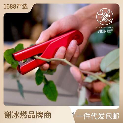 谢冰燃玫瑰花拔刺钳去刺宝修花刺剪刀除刺夹剔刺叶花艺工具
