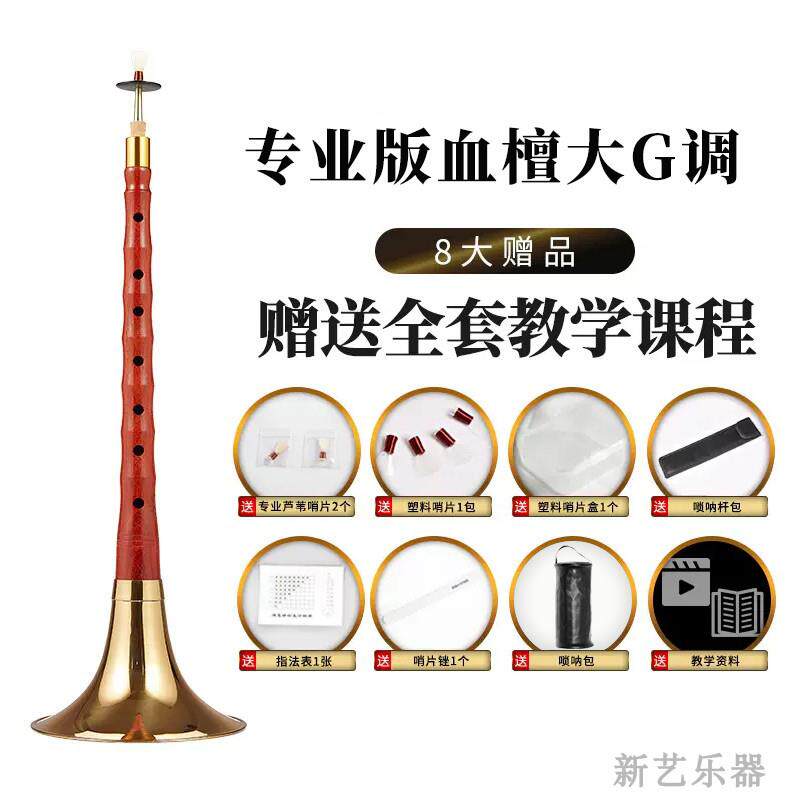 正品新艺唢 呐乐器喇全套初学者成人 血专业演奏型檀木唢呐D调 民