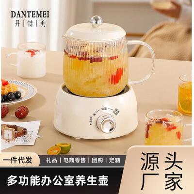迷你养生壶小型办公室一人多功能家用烧水花茶壶养生杯电炖杯