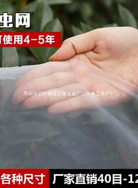 60目80目加厚抗老化纱窗网纱布防虫网大棚塑料猪场纱网杨梅窗纱网