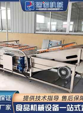 瑞诺气泡清洗流水线 全自动气泡喷淋式果蔬清洗机 净菜加工设备