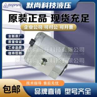 卡普罗尼Caproni齿轮泵30A20X068H 1X575 20A4.5X008液压泵 10A