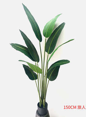 植物旅人绿装饰绿树落地盆栽假蕉摆件北欧美人蕉仿真植大型家居植