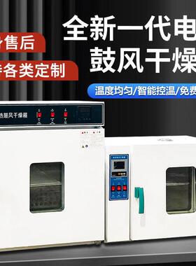 电热恒温鼓风干燥箱实验室小型烘箱食品烘干机工业温烤箱烘干箱