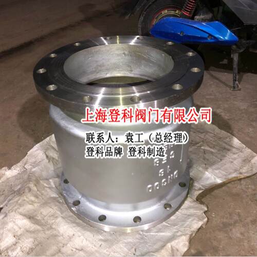 上海阀门厂家 立式止回阀 H42H-16P DN250 不锈钢 单向阀 逆止阀