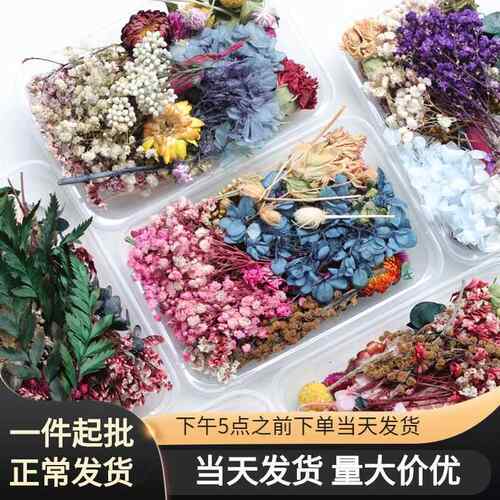 美沐儿 混合装diy干花相框 团扇装饰天然材料diy香薰蜡烛干花花材