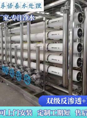 大型工业RO双级反渗透纯净水EDI超纯水纯水去离子水纯化水设备
