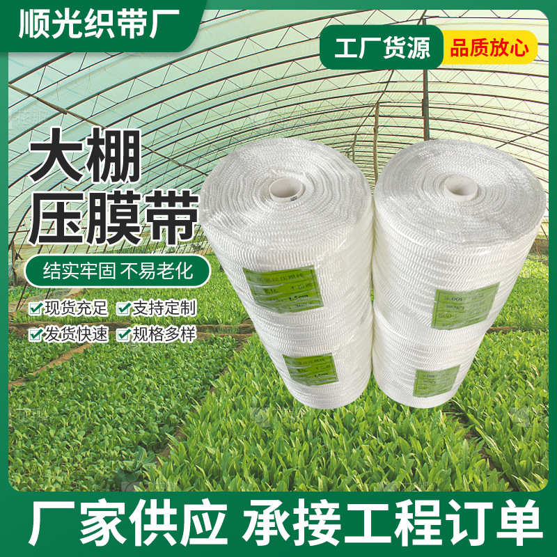 涤纶丝压膜带温室大棚配件大棚压膜带1.5压膜线扁带耐老化压膜带